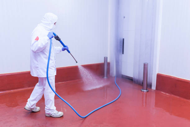Professional Pressure Washing in South Jordan, UT